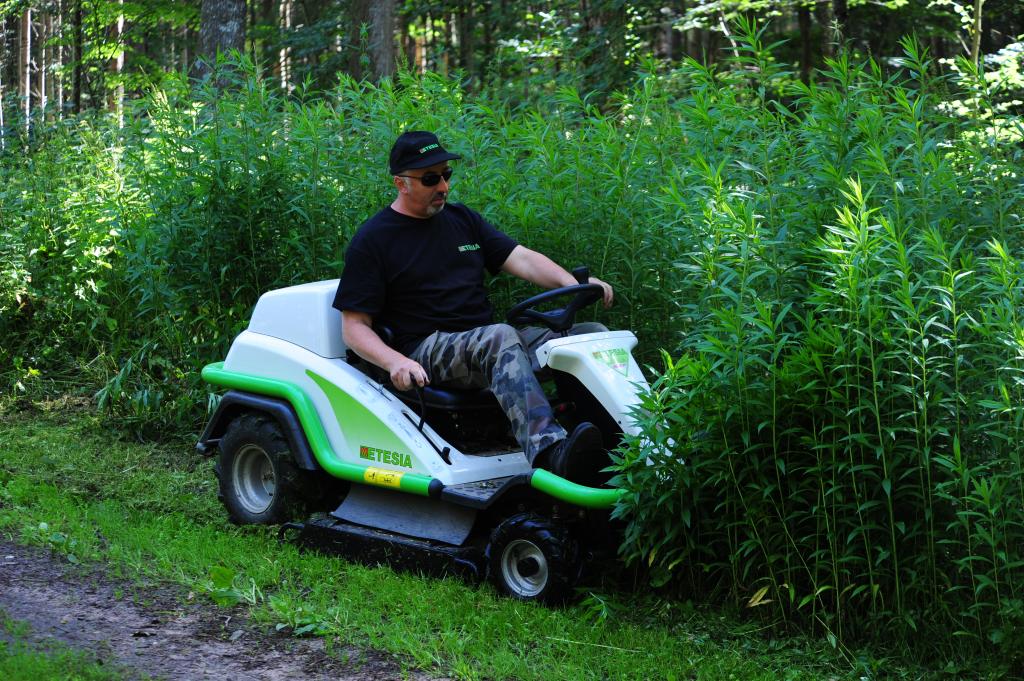 ETESIA Attila SKD Gestrüppmäher – Bild 10