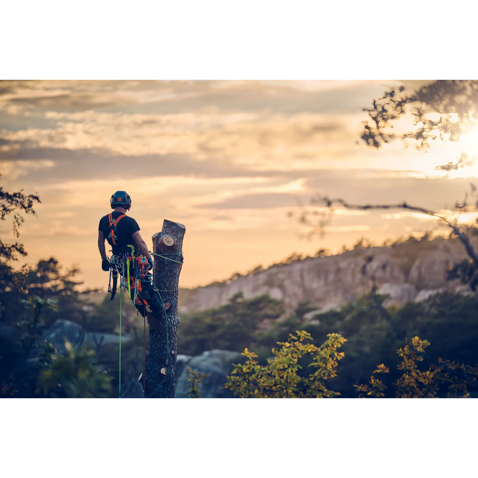 Husqvarna T540 XP® Mark III – Bild 5