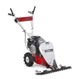 Tielbürger t40 Balkenmäher - B&S 550 OHV